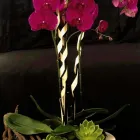 Business 3 image 2 LIPS FLORAL DESIGN Wedding Planner in Fort Lauderdale FL