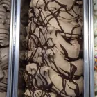 Business 65 image 407 CAFE in Orlando FL