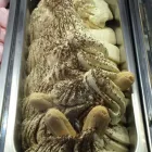 Business 70 image 407 CAFE in Orlando FL