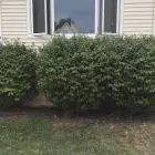 Business 19 image 5 STAR PLOWING & LANDSCAPING Snow Removal Service in Lackawanna NY