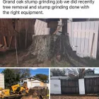 Business 1 image A BAKER'S TREE SERVICE in Tampa FL