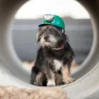 Business 1 image A BETTER PLUMBER Plumbers in Denver CO
