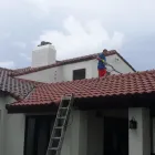 Business 18 image A FIRST CHOICE PRESSURE WASHING Power Washing in Tampa FL