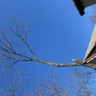 Business 7 image A-ONE LAWNCARE LLC Landscaping in Kansas City MO