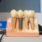 Business 7 image AA SOUTH FLORIDA DENTISTRY General Dentists in Miami FL