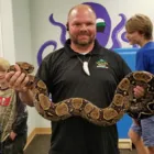 Business 2 image AAAC WILDLIFE REMOVAL OF TAMPA BAY Pest Control Services in Tampaa FL