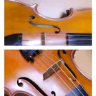 Business 7 image ABOUT MUSIC PRODUCTIONS Wedding Music & Entertainment in San Diego CA