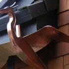 Business 1 image ABSOLUTE GUTTERS INC Tree Trimming Service in Odessa FL