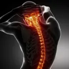 Business 9 image ACCIDENT CHIROPRACTIC CLINIC MIAMI in North Miami FL