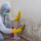 Business 1 image ACE MOLD REMOVAL Mold Removal in Kansas City MO
