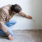 Business 3 image ACE MOLD REMOVAL Mold Removal in Kansas City MO