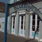 Business 1 image ACORN STUDIOS Web Site Design & Services in Sacramento CA