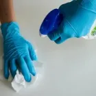Business 2 image ADEY'S CLEANING Carpet & Upholstery Cleaning in Buffalo NY