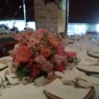 Business 6 image ADRIATICO TRATTORIA ITALIANA Restaurants in Orlando FL