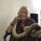 Business 8 image AER CONSULTING INC. Employment Consultant in Tampa FL