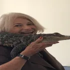 Business 10 image AER CONSULTING INC. Employment Consultant in Tampa FL