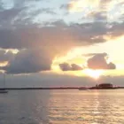 Business 11 image AER CONSULTING INC. Employment Consultant in Tampa FL