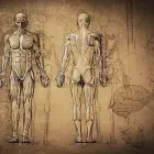 Business 10 image ALEJANDRA CHAYET Psychotherapists in San Diego CA