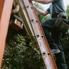 Business 1 image ALL STARR ROOFING Roofing Shingles in Aurora CO
