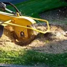 Business 1 image ALL WEATHER TREE AND LANDSCAPING SERVICE in Tampa FL