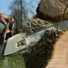 Business 3 image ALL WEATHER TREE AND LANDSCAPING SERVICE in Tampa FL