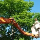 Business 4 image ALL WEATHER TREE AND LANDSCAPING SERVICE in Tampa FL