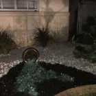 Business 1 image ALLE'S LANDSCAPING & DESIGN Landscaping in Miami FL