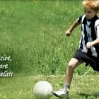 Business 1 image ALLERGY, ASTHMA & IMMUNOLOGY ASSOCIATES CITRUS PARK Allergy Treatment in Tampa FL