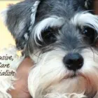 Business 2 image ALLERGY, ASTHMA & IMMUNOLOGY ASSOCIATES CITRUS PARK Allergy Treatment in Tampa FL