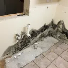 Business 5 image ALLY HVAC Air Conditioning Contractors & Systems in Tampa FL