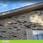 Business 9 image ALPHA FOUNDATIONS tallahassee in Orlando FL