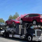 Business 2 image ALPINE AUTO TRANS Shipping Services in Tampa FL