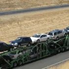 Business 3 image ALPINE AUTO TRANS Shipping Services in Tampa FL