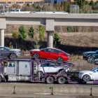 Business 5 image ALPINE AUTO TRANS Shipping Services in Tampa FL