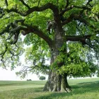 Business 2 image AMADEN GAY AGENCIES Insurance in East Hampton NY