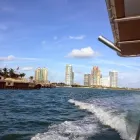 Business 1 image AMERICAN WATERSPORTS BOAT RENTALS LLC Boat Rental in Miami Beach FL