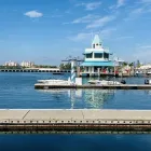 Business 2 image AMERICAN WATERSPORTS BOAT RENTALS LLC Boat Rental in Miami Beach FL