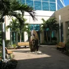 Business 6 image ANDERSON LESNIAK LIMITED INC. Landscaping & Lawn Services in Tampa FL