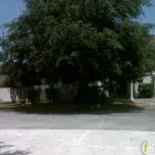 Business 1 image ANIMAL CRACKERS DOG DAY CARE Pet Sitting Exercising Services in Spring TX