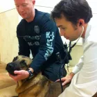 Business 3 image ANIMAL EMERGENCY CENTER in Orlando FL