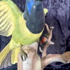 Business 9 image ANTIQUE RESTORATION AND DESIGN Shopping & Retail in Tampa FL