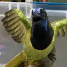 Business 10 image ANTIQUE RESTORATION AND DESIGN Shopping & Retail in Tampa FL