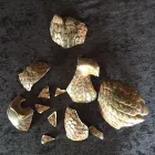 Business 36 image ANTIQUE RESTORATION AND DESIGN Shopping & Retail in Tampa FL