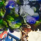 Business 53 image ANTIQUE RESTORATION AND DESIGN Shopping & Retail in Tampa FL