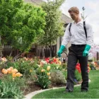 Business 2 image APTIVE ENVIRONMENTAL Pest Control Services in Orlando FL