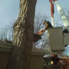 Business 5 image ARBORSCAPE INC Tree Service in Englewood CO