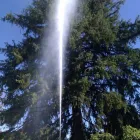 Business 6 image ARBORSCAPE INC Tree Service in Englewood CO