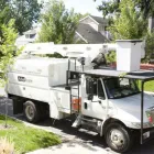 Business 8 image ARBORSCAPE INC Tree Service in Englewood CO