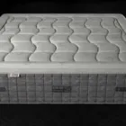 Business 1 image ARCUS Wellness Center in Tampa FL