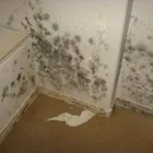 Business 8 image ARIZONA FIRE & WATER RESTORATION, INC. Water Damage Restoration in Phoenix AZ